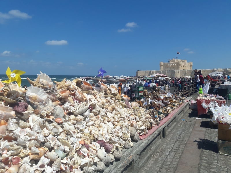 _الهدايا التذكارية من القواقع (1)