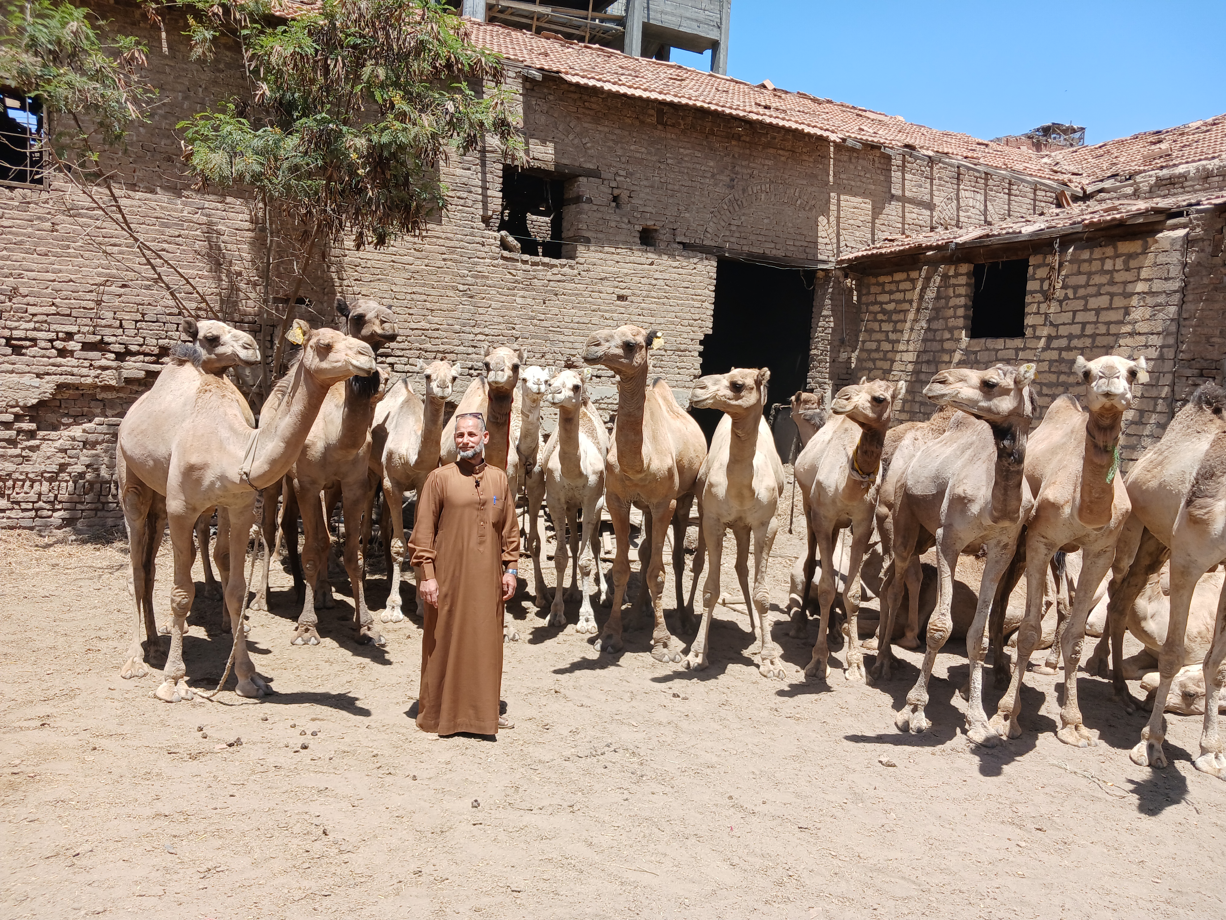 جمال باسعار مخفضة
