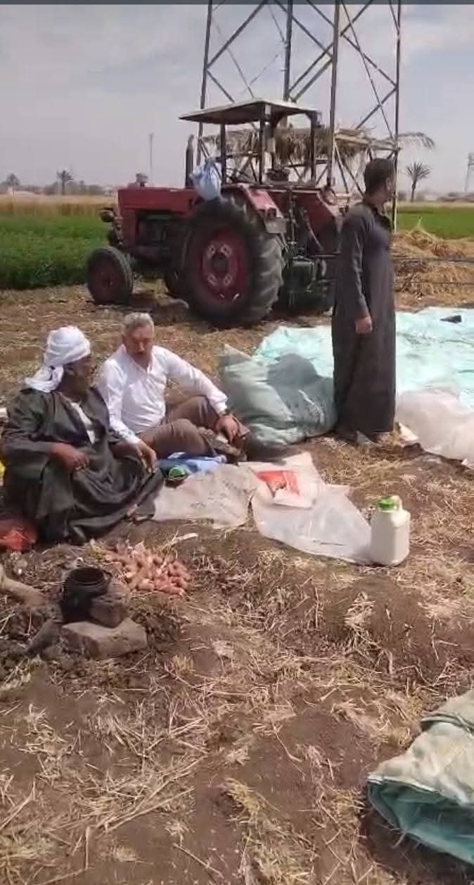 خلال اعمال تشوين القمح