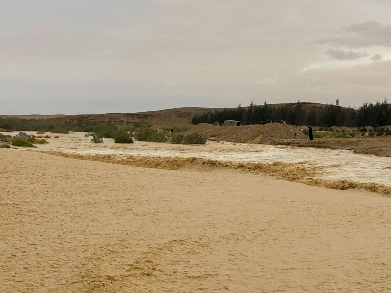 WhatsApp Image 2026-04-27 at 5.06.46 PM (1)