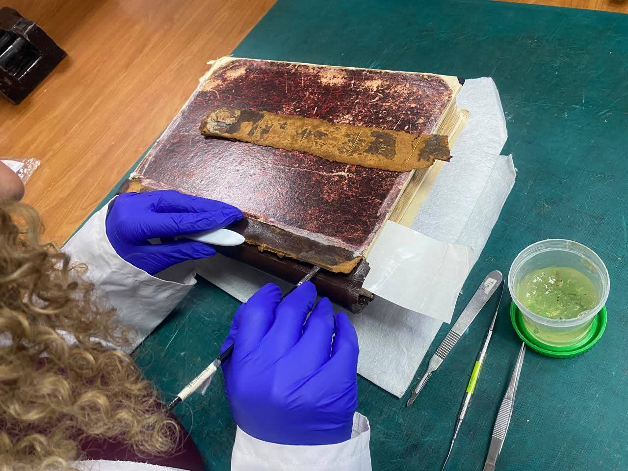 معمل الترميم داخل مكتبة الاسكندرية