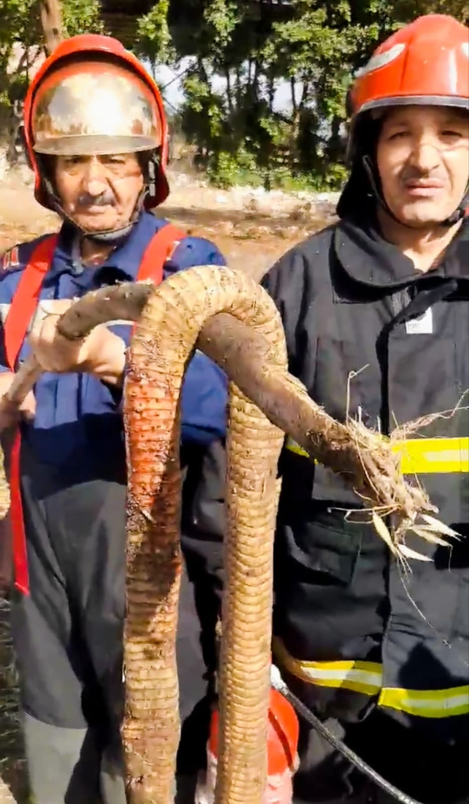 62f1624d-65fc-42a6-9ae2-f2ffcaa565cc