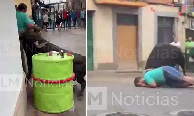 لحظة هجوم الثور