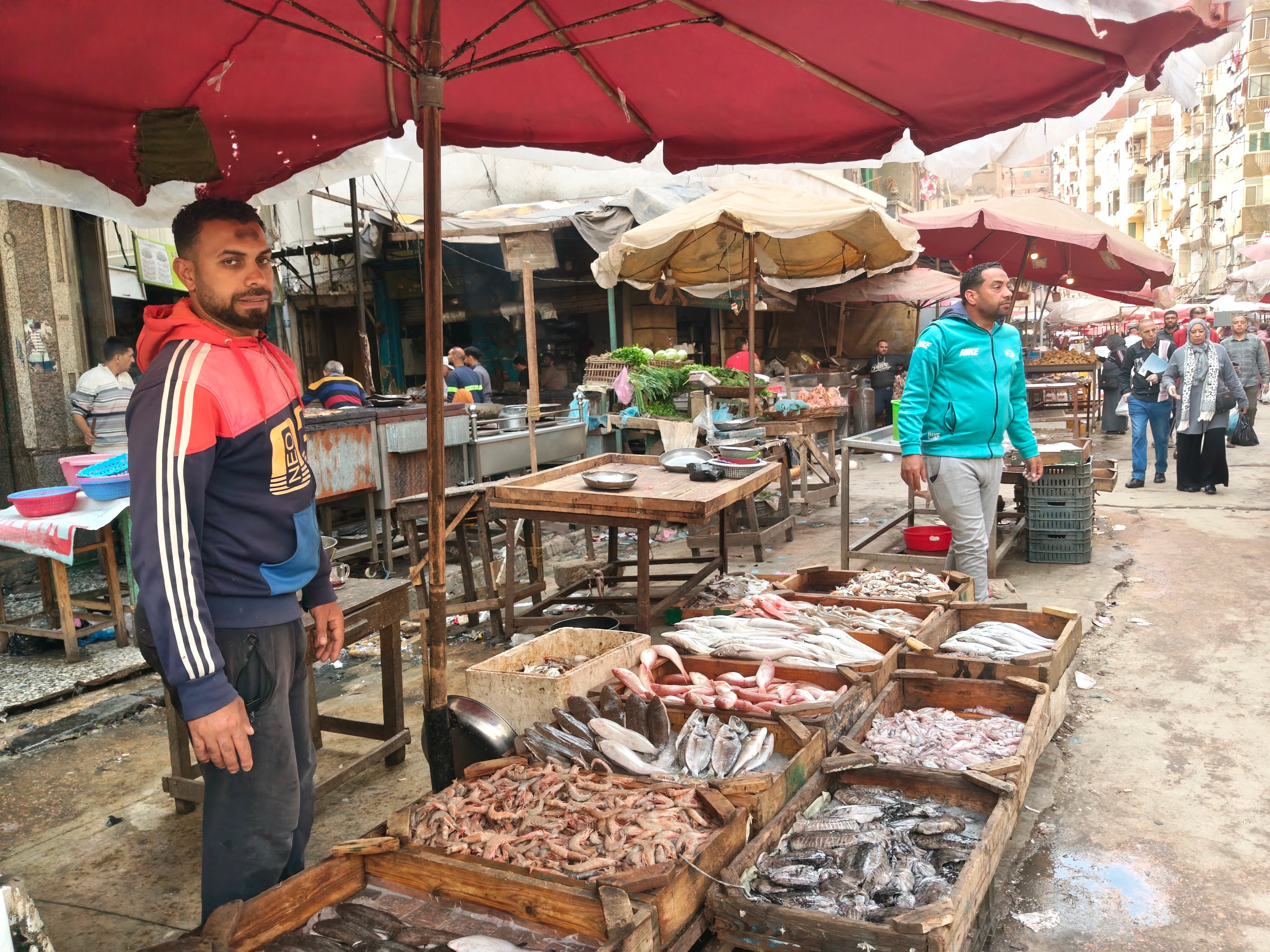 أرخص سوق سمك بالإسكندرية