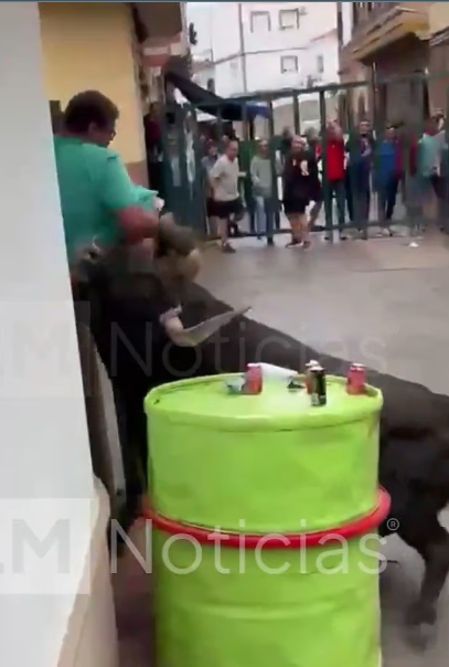 لحظة اصطدام الثور بالرجل