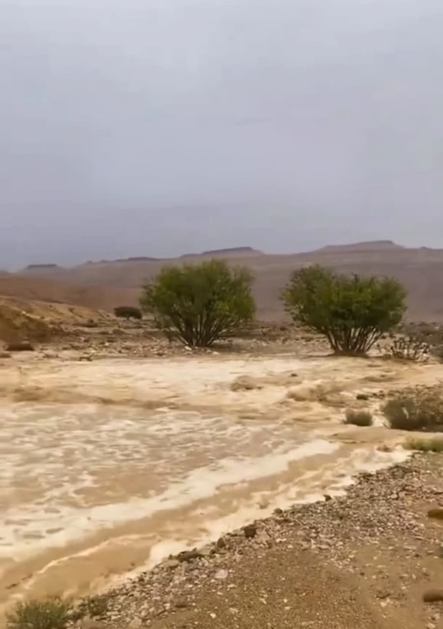 WhatsApp Image 2026-04-27 at 5.06.48 PM