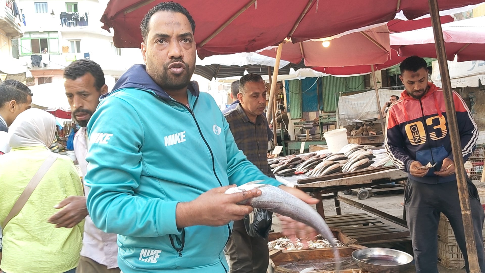سمك المازلى الطازج