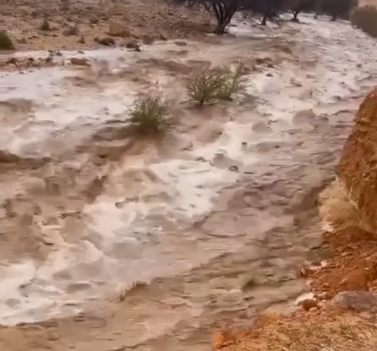 WhatsApp Image 2026-04-27 at 5.06.46 PM (2)