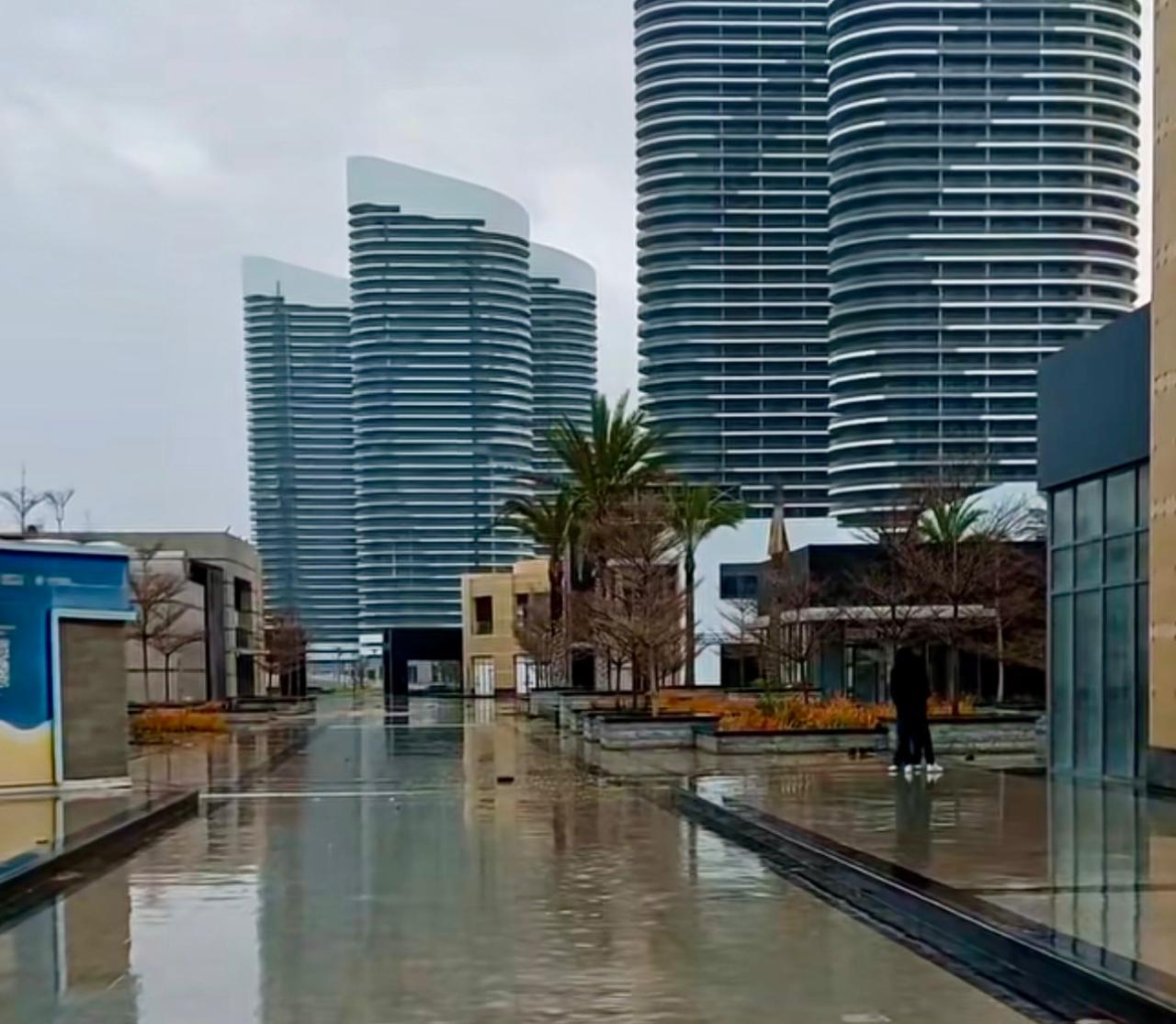 العلمين رائعة في الشتاء