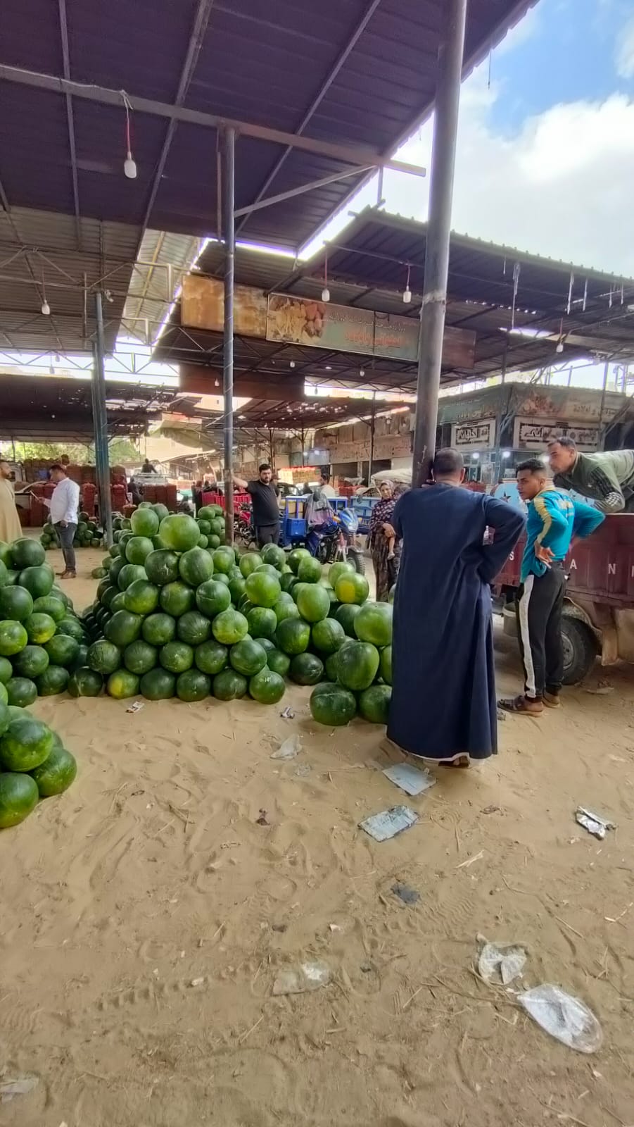 انتشار شوادر البطيخ انتشار شوادر البطيخ