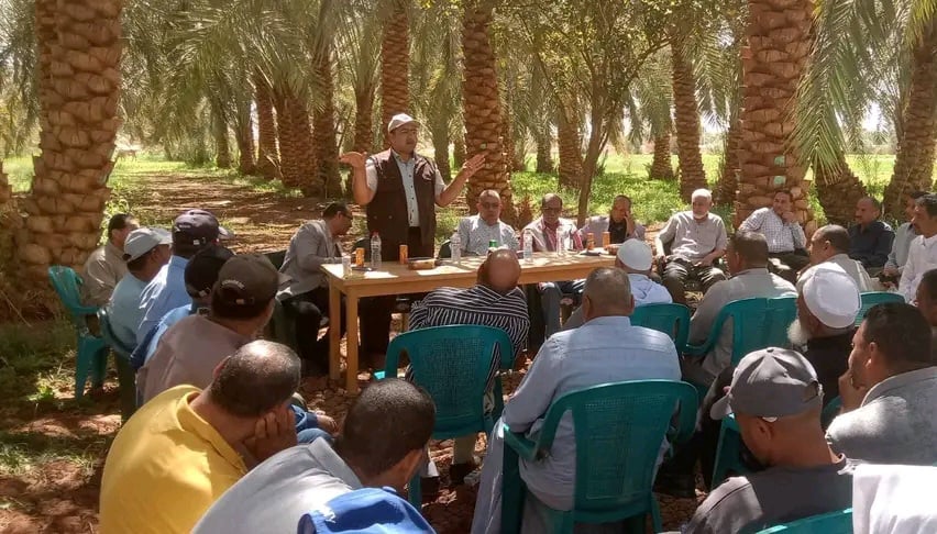 ندوات إرشادية فى مزارع النخيل