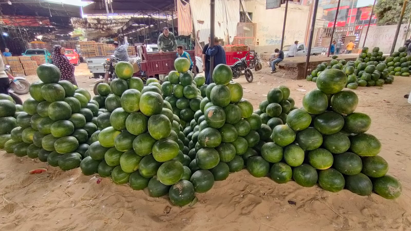 البطيخ بسوق الجملة البطيخ بسوق الجملة