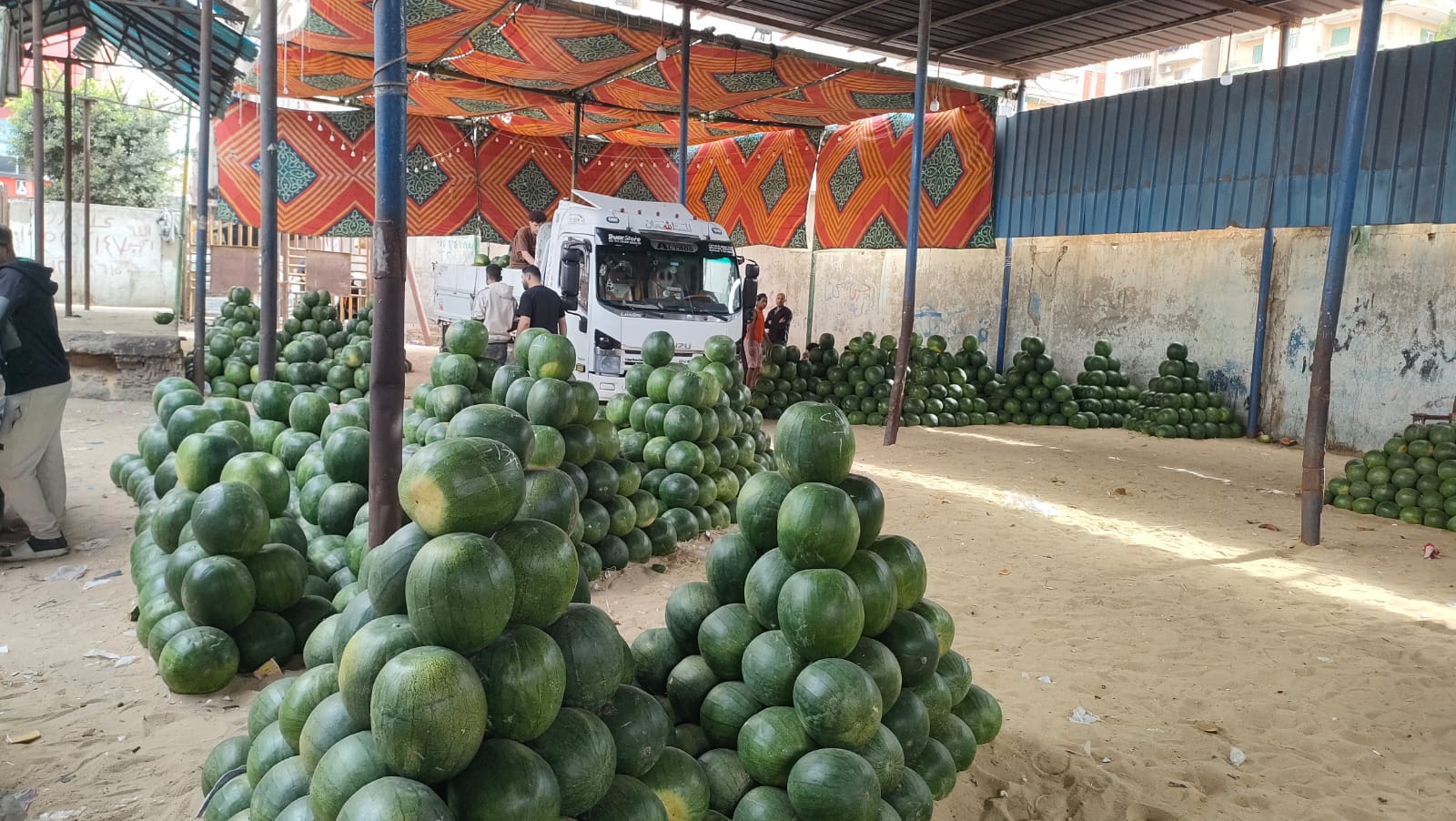 البطيخ البطيخ