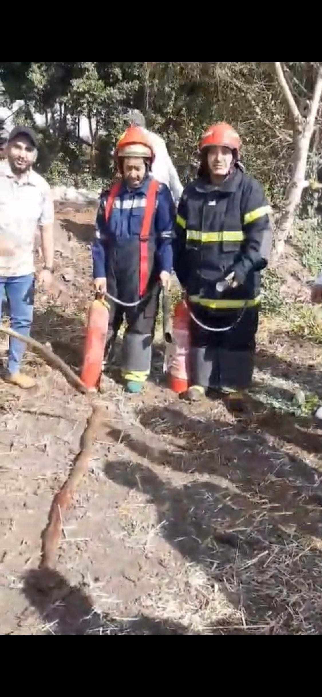 ثعبان الكوبرى بعد الإمساك به