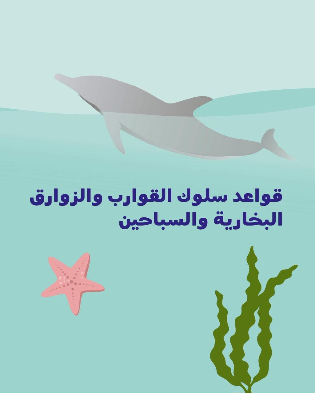 إرشادات للتعامل مع الدلافين إرشادات للتعامل مع الدلافين