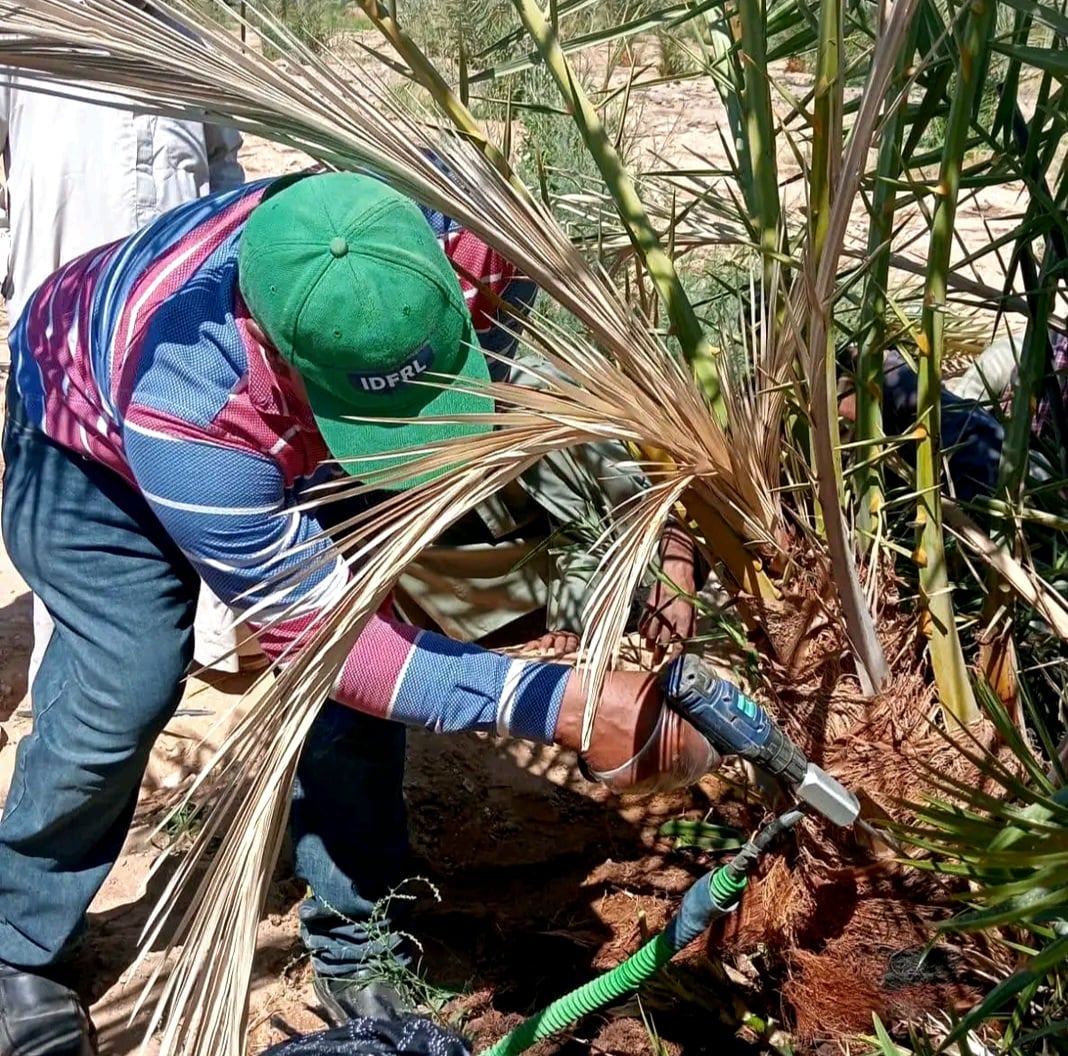استخدام جهاز الحقن الهيدروليكى فى المكافحة