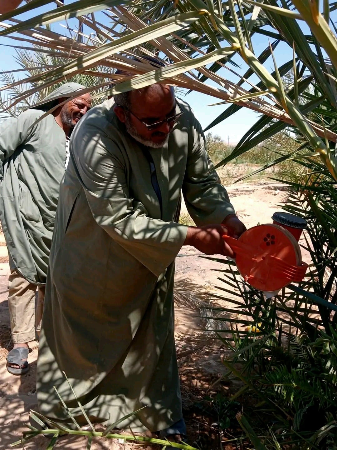 تدريب المزارعين على تقنيات المكافحة