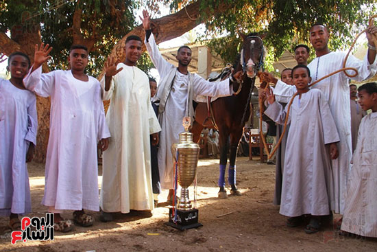 حصان مشارك بالمرماح