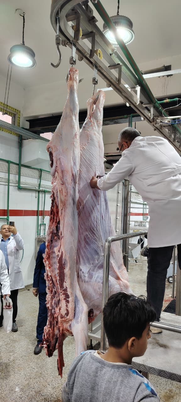 67c24940-4516-4e21-b771-c1acaa3ed1ca