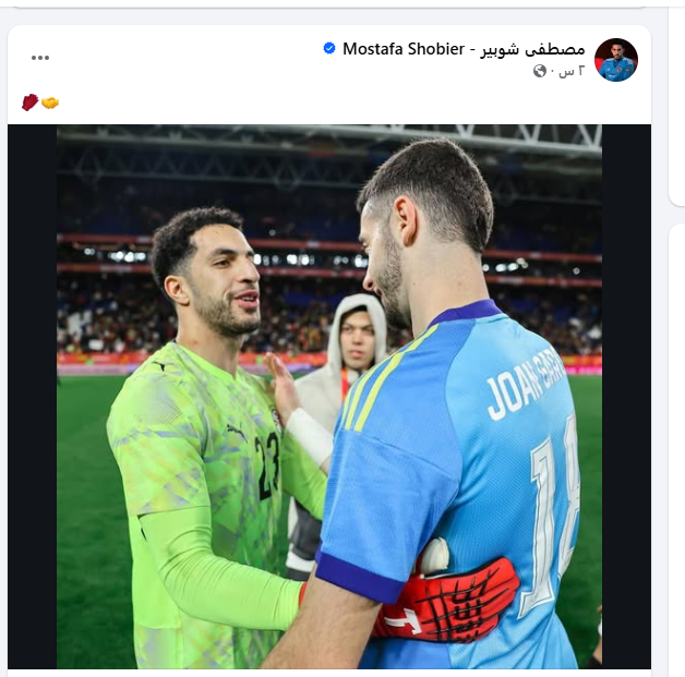 مصطفى شوبير