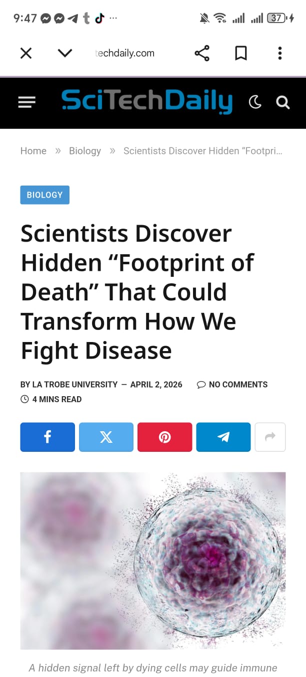 WhatsApp Image 2026-04-03 at 9.48.43 AM WhatsApp Image 2026-04-03 at 9.48.43 AM