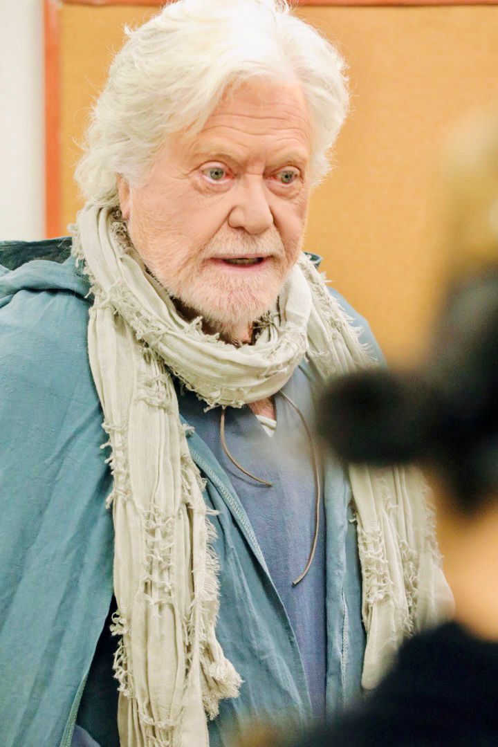 الفنان حسين فهمي