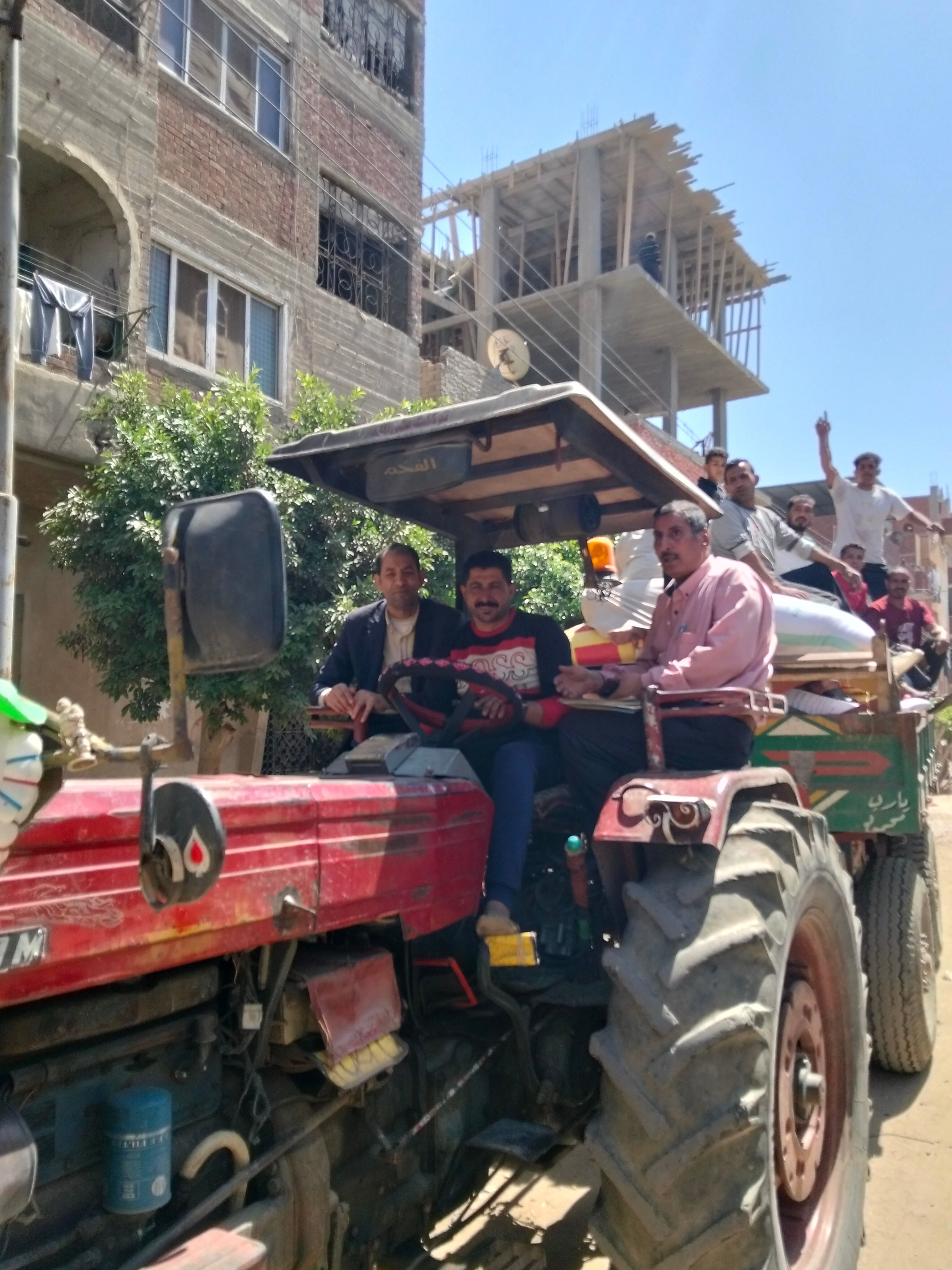 القمح المسروق 