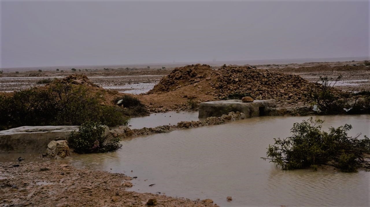 توسع كبير في مشروعات حصاد مياه الامطار