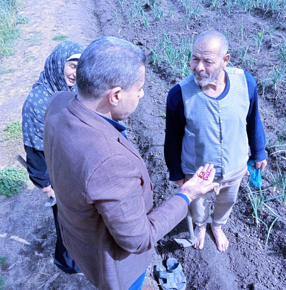 جانب من اللقاءات مع المزراعين