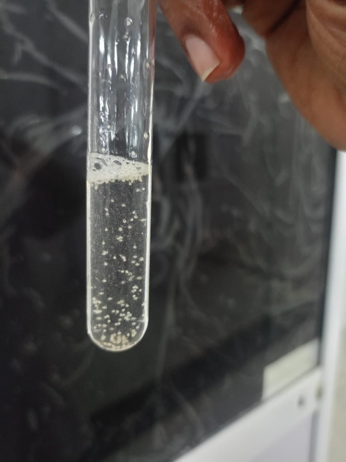 بيض السمك الملقح