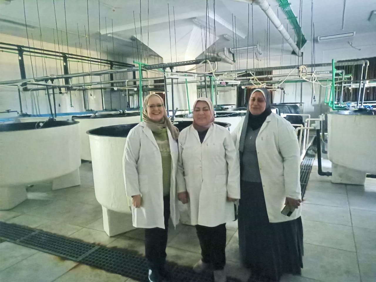 المشاركين فى البحث العلمى