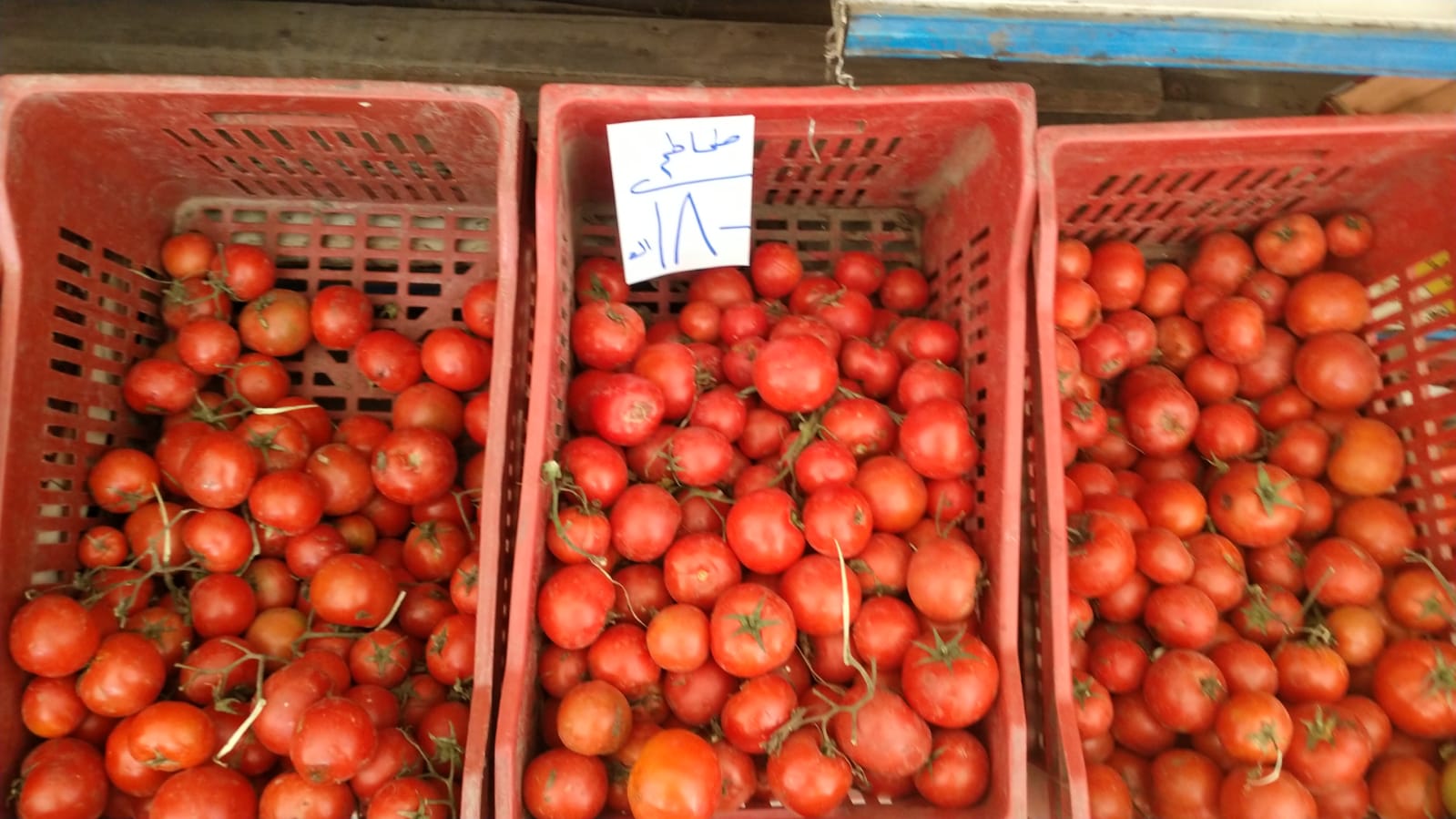 PHOTO-2026-04-04-10-57-40 PHOTO-2026-04-04-10-57-40