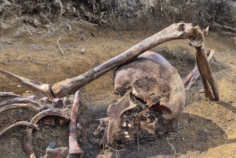 رفات جندى ألمانى 