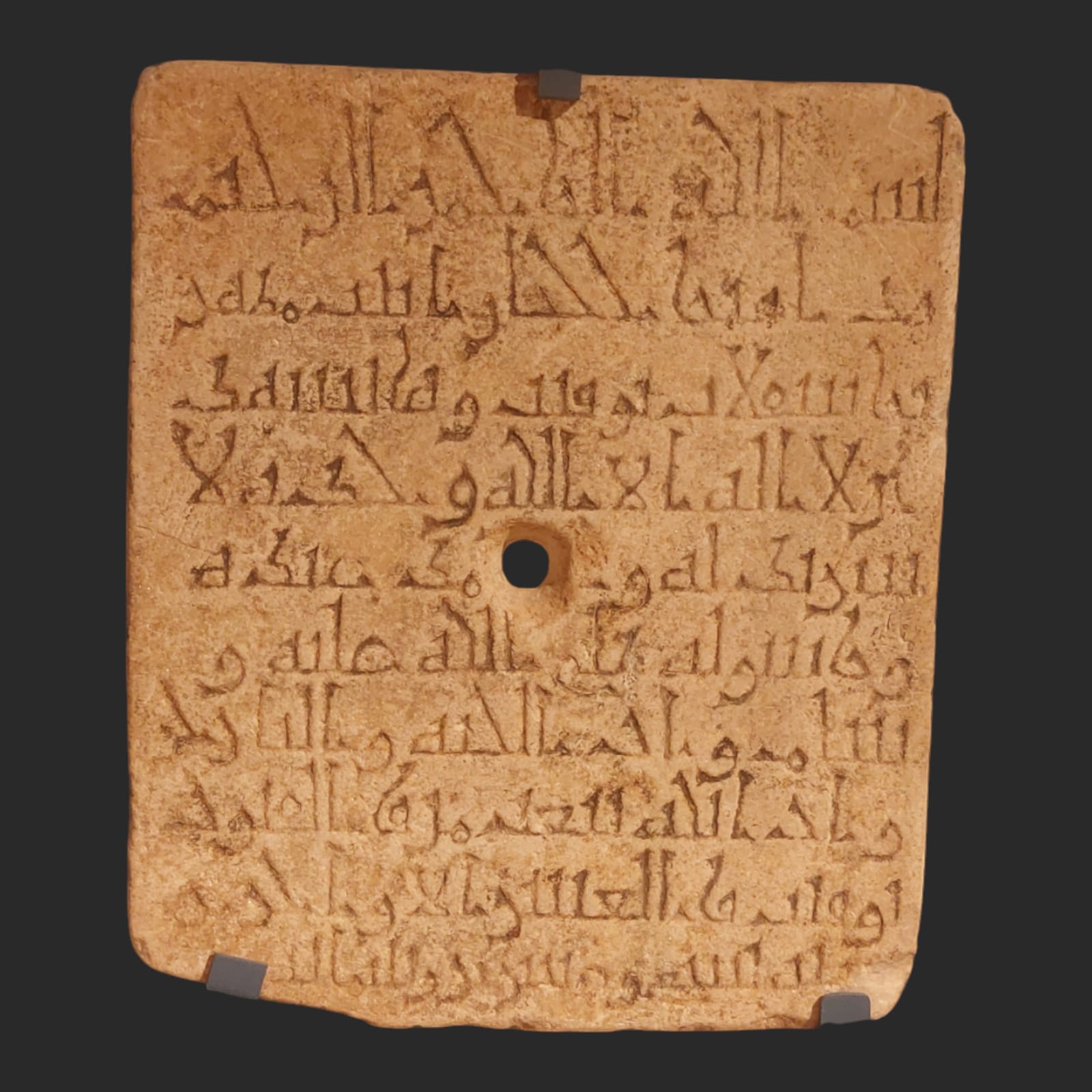 WhatsApp Image 2026-04-05 at 10.14.17 AM (2)