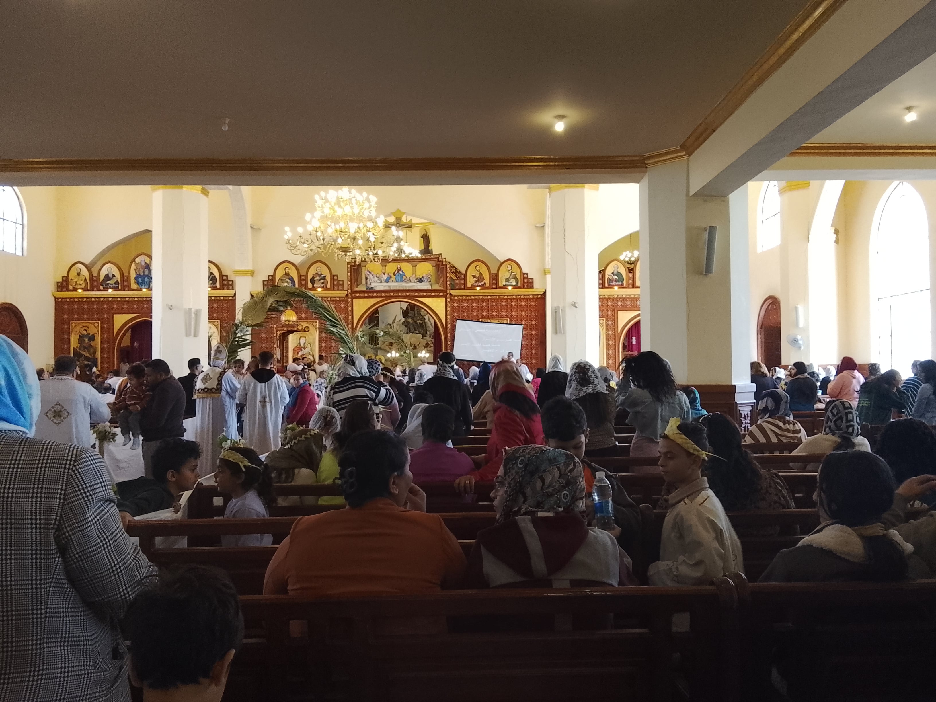 IMG_20260405_111008 IMG_20260405_111008