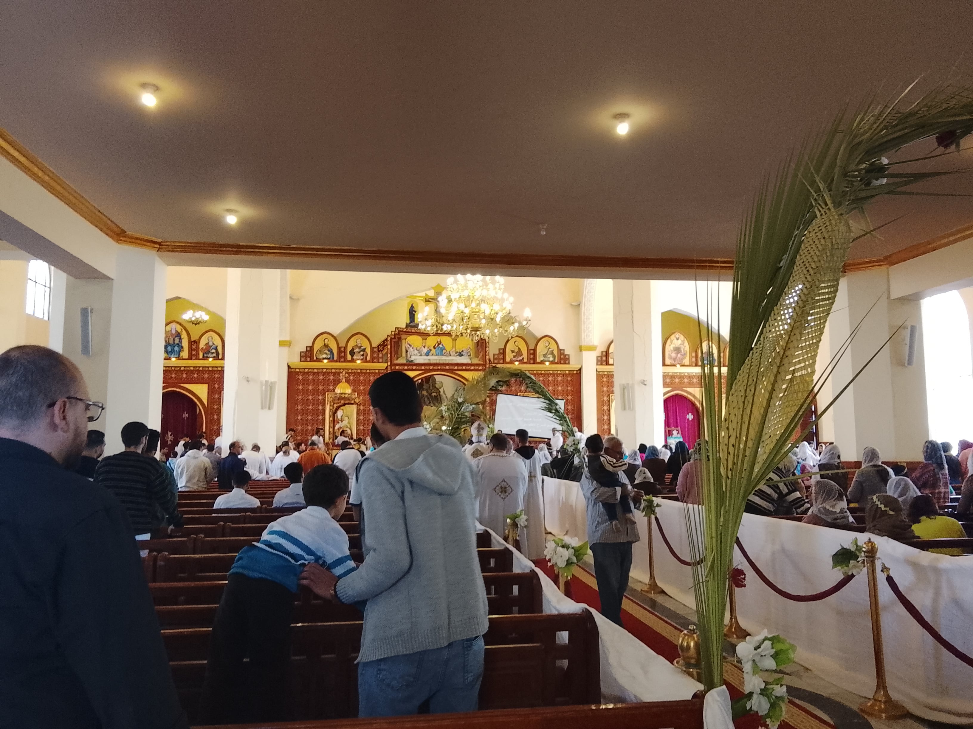 IMG_20260405_110947 IMG_20260405_110947