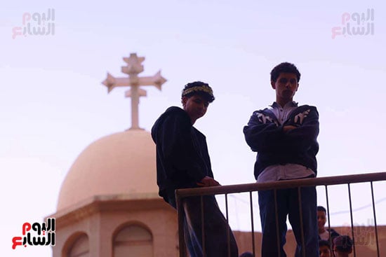 حد السعف (22)