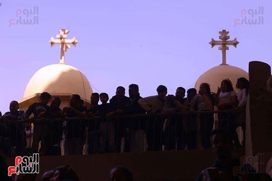 حد السعف (14)