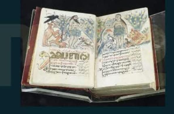 WhatsApp Image 2026-04-05 at 10.14.19 AM (1)