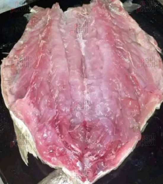 لون الفسيخ الوردي