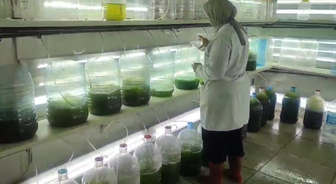 أثناء العمل بالعمل