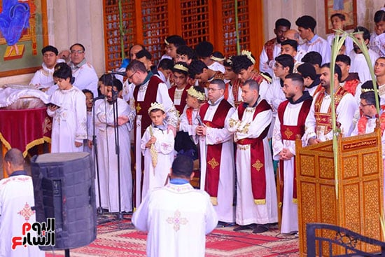 حد السعف (15)