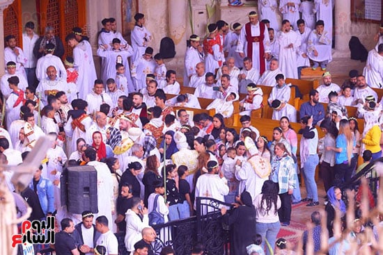 حد السعف (11)