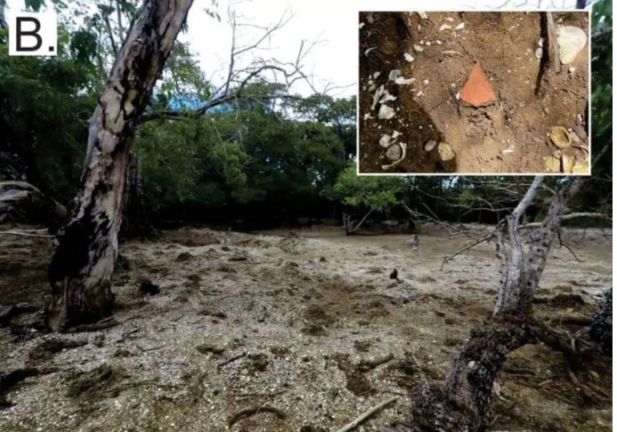 جزيرة تشكلت من المحار جزيرة تشكلت من المحار