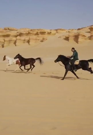 عصام السقا 222222