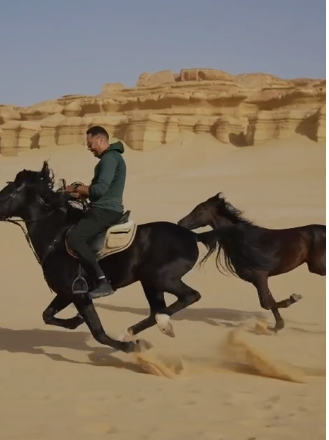 عصام السقا2