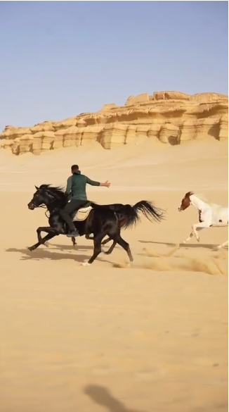 عصام السقا 11111