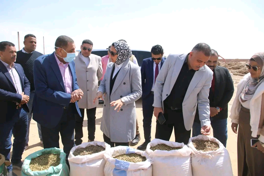 المصنع ينتج 20 طن اعلاف يوميا المصنع ينتج 20 طن اعلاف يوميا