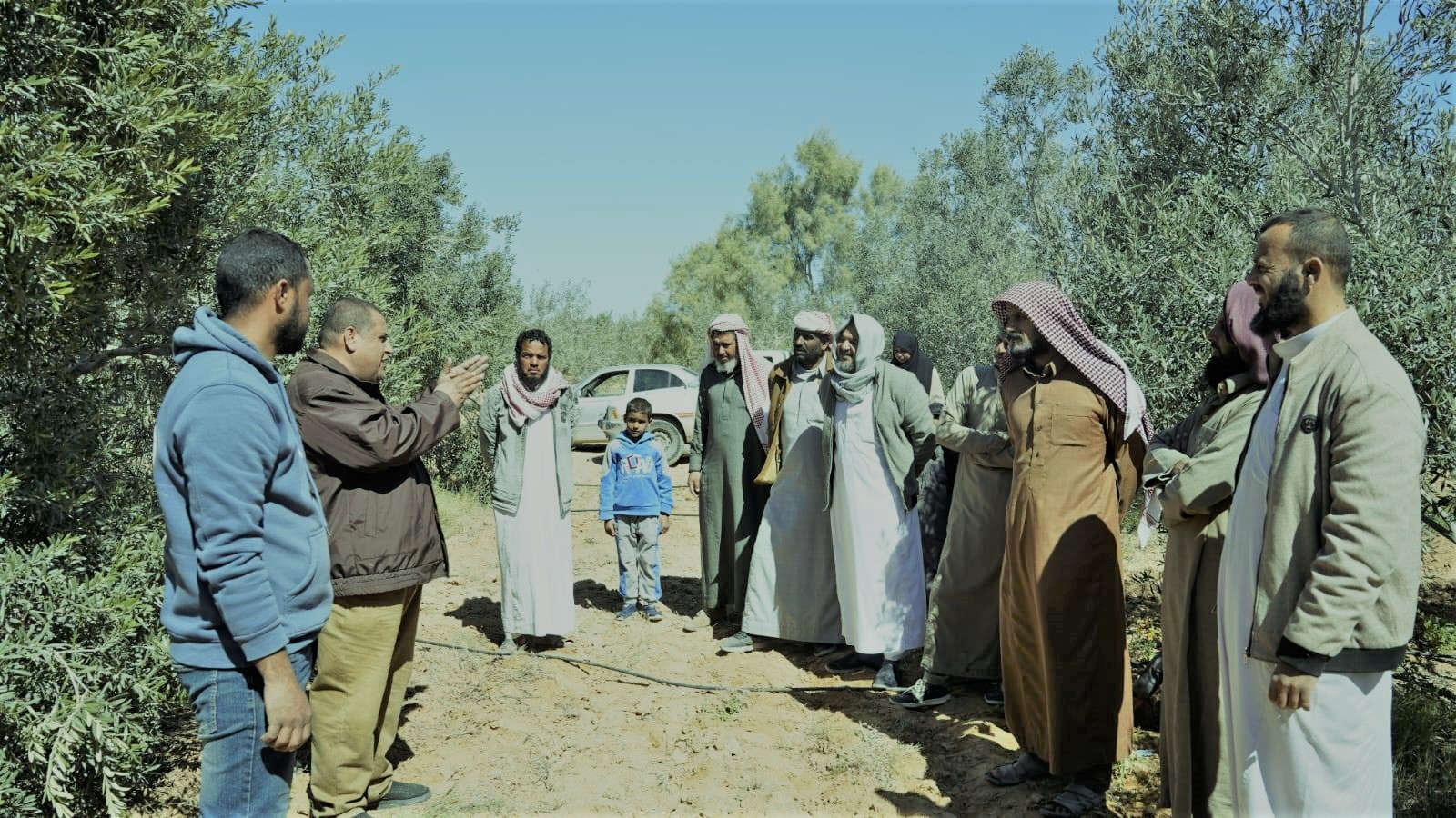 تحسين الممارسات الزراعية بمطروح