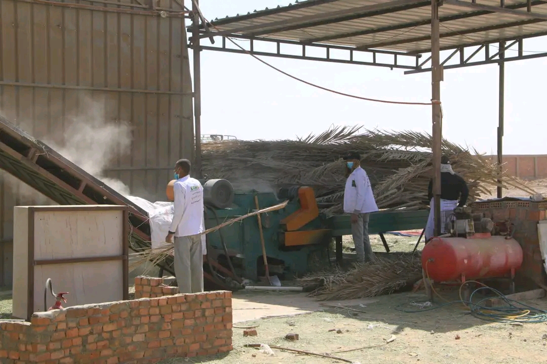 نجاح مشروعات تدوير المخلفات بالوادى الجديد نجاح مشروعات تدوير المخلفات بالوادى الجديد